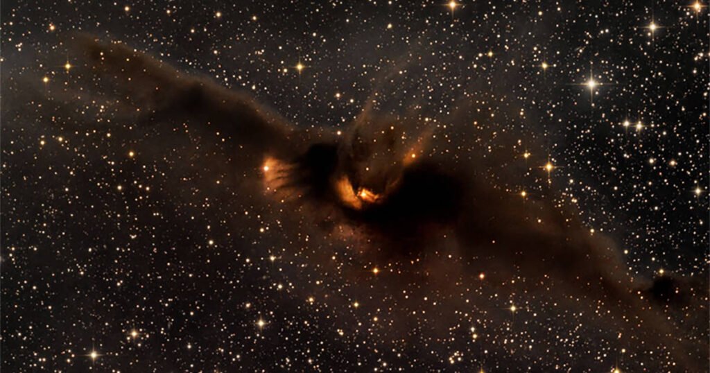 A Nebulosa do Morcego Cósmico (Nebulosa do Morcego Cósmico (LDN 43) é uma densa nuvem molecular escura que lembra a silhueta de um morcego com as asas abertas.