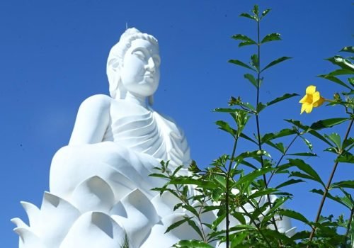 O Grande Buda de Ibiraçu