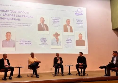 Alzira Vasconcelos foi uma das convidadas da abertura do Sinergia